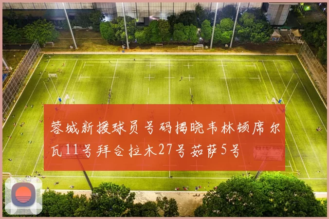 蓉城新援球员号码揭晓韦林顿席尔瓦11号拜合拉木27号茹萨5号