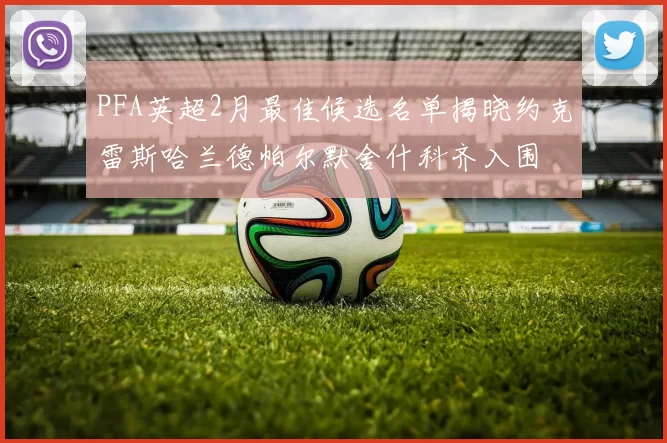PFA英超2月最佳候选名单揭晓约克雷斯哈兰德帕尔默舍什科齐入围