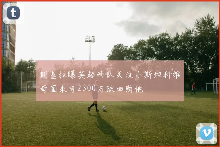 斯基拉曝英超两队关注小斯坦科维奇国米可2300万欧回购他