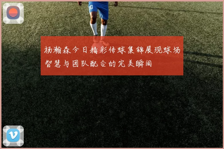 杨瀚森今日精彩传球集锦展现球场智慧与团队配合的完美瞬间